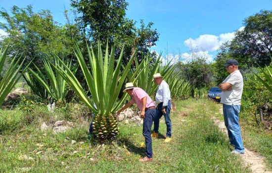 13a14ca8-27ac-4b43-9f83-62b91c568ee2