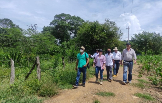 3919e990-880a-43d4-ad73-81b4e458841a