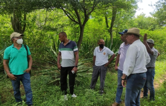 3f97e0d8-3192-41fd-b4da-bd09d1df8f96