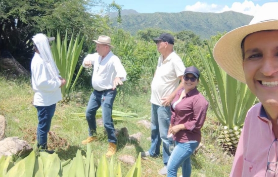 407a82bd-c6ec-4f65-8f93-9c248d7aa083