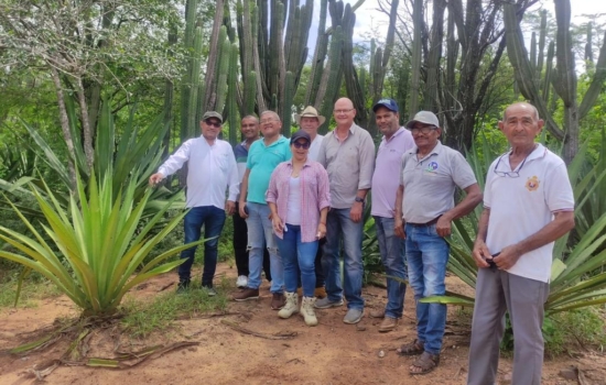 46d1d124-536c-419f-88ac-a37dceb69e84