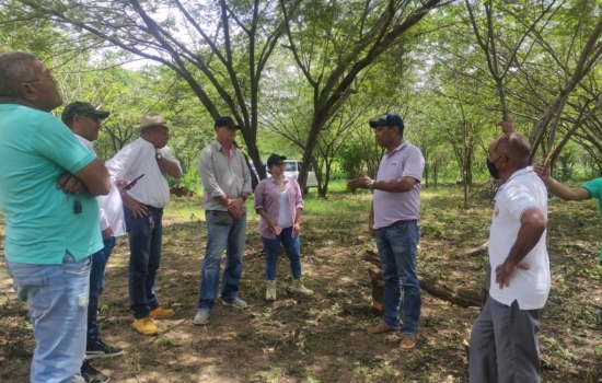 53fb211f-9401-4b41-a64b-882fe638a0e9