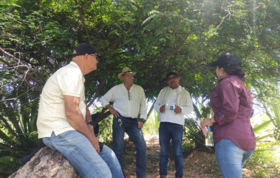 54061c51-e217-4af4-9513-8dcfdd0e462f