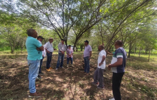 5add1f6f-0a72-4165-b097-ec52b0de2554