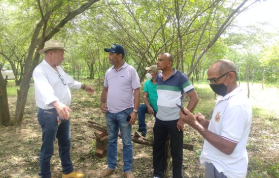 8d72c687-5c0c-4ba0-b709-efd1c77926f8