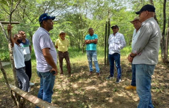 96dfcb0b-3827-478f-9ea6-9875dbcc50ec