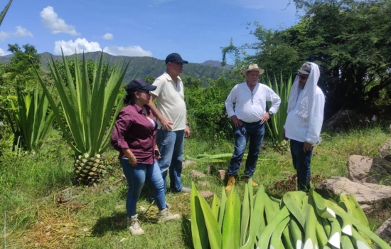 a3e42796-d893-48fb-a94d-86d535758695