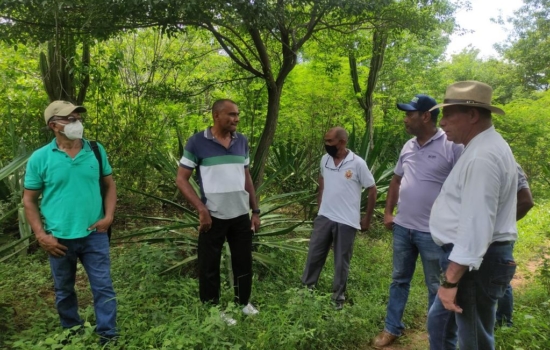 a97c2458-9038-4d7c-a48e-e10b9a8d26ca