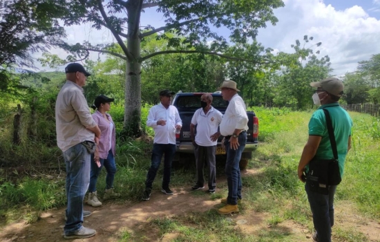 b002cdc5-1256-463d-8a52-52eb1fa7350e