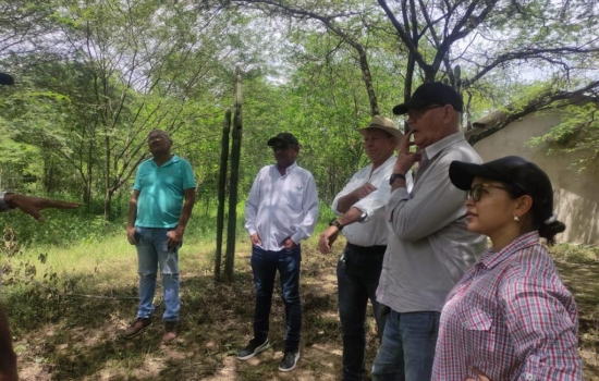 fd0df7ba-03fd-4851-836d-7c73f7e66ad4