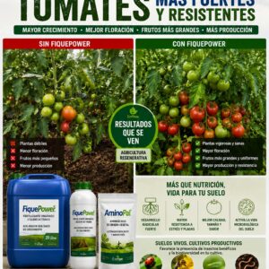 FiquePower-Tomate-1